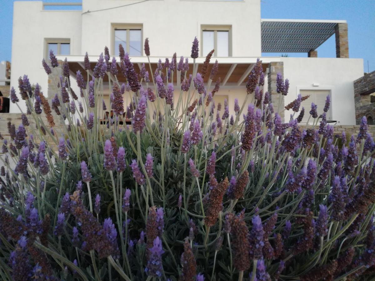 Nesaea Seafront House Villa Parasporos Bagian luar foto