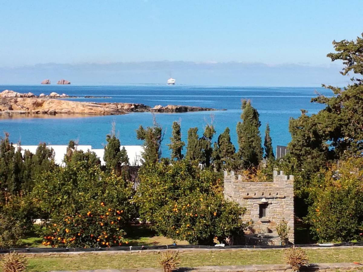 Nesaea Seafront House Villa Parasporos Bagian luar foto